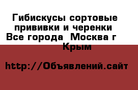 Гибискусы сортовые, прививки и черенки - Все города, Москва г.  »    . Крым